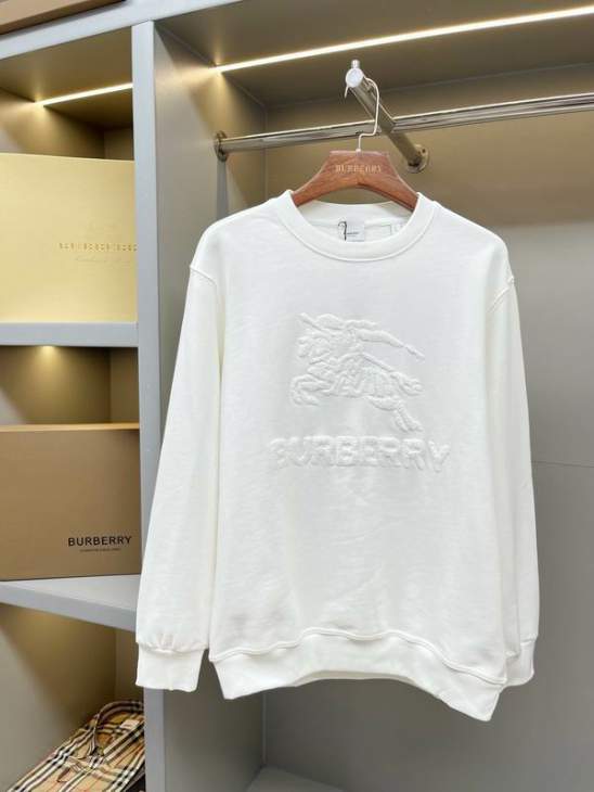 Picture of Burberry Sweatshirt _SKUBurberryS-2XLaztx874530997